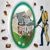 VNS PEST CONTROL