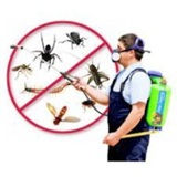 Eco Friendly Pest Control