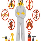VENUS PEST CONTROL